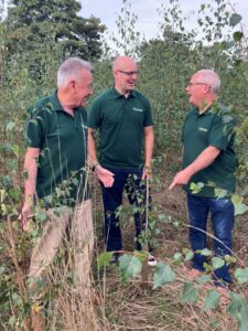 tree planting charity