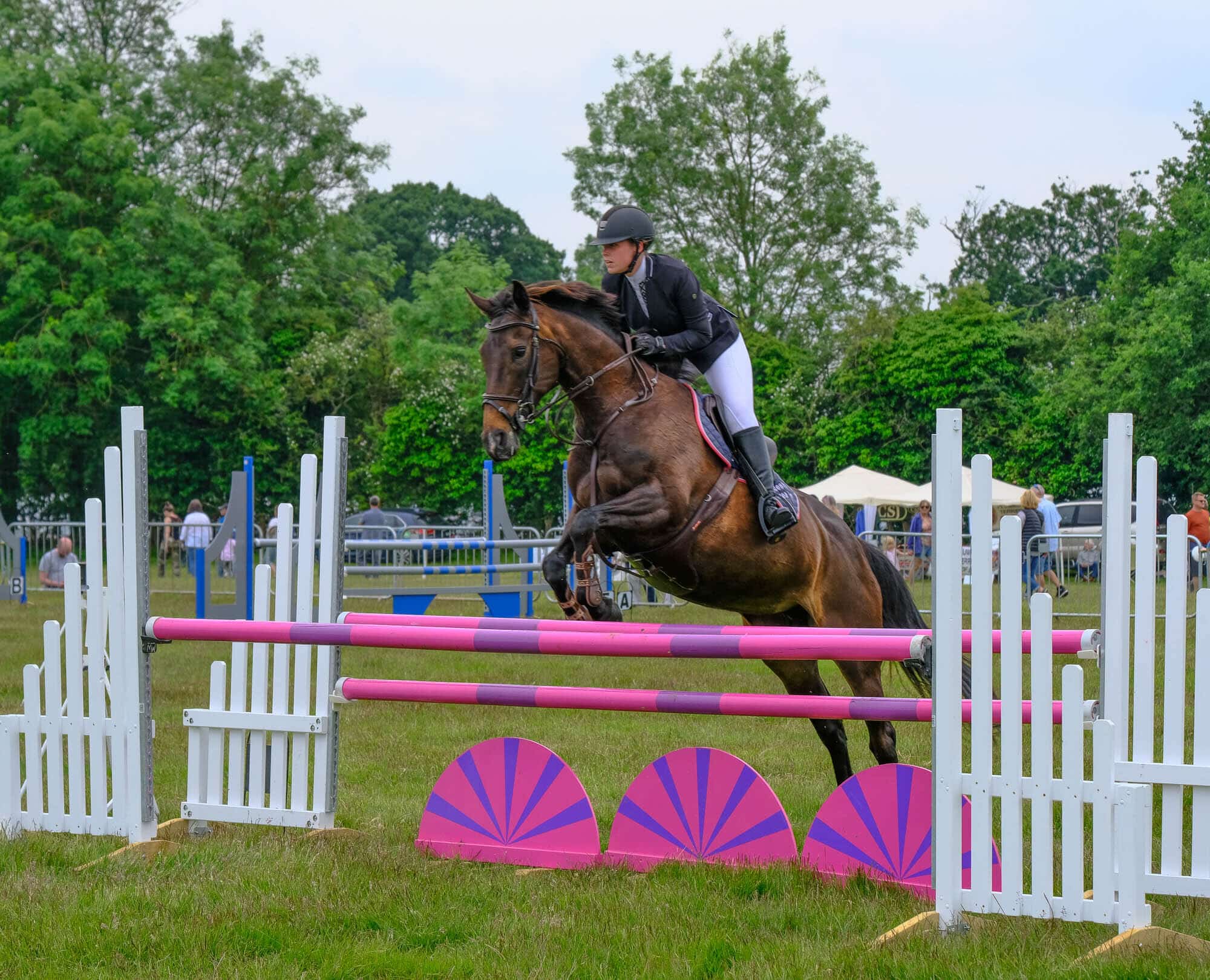 Children will go free to the 2020 Derbyshire County Show - picture by Martin Arrowsmith (Ockbrook Camera Club)