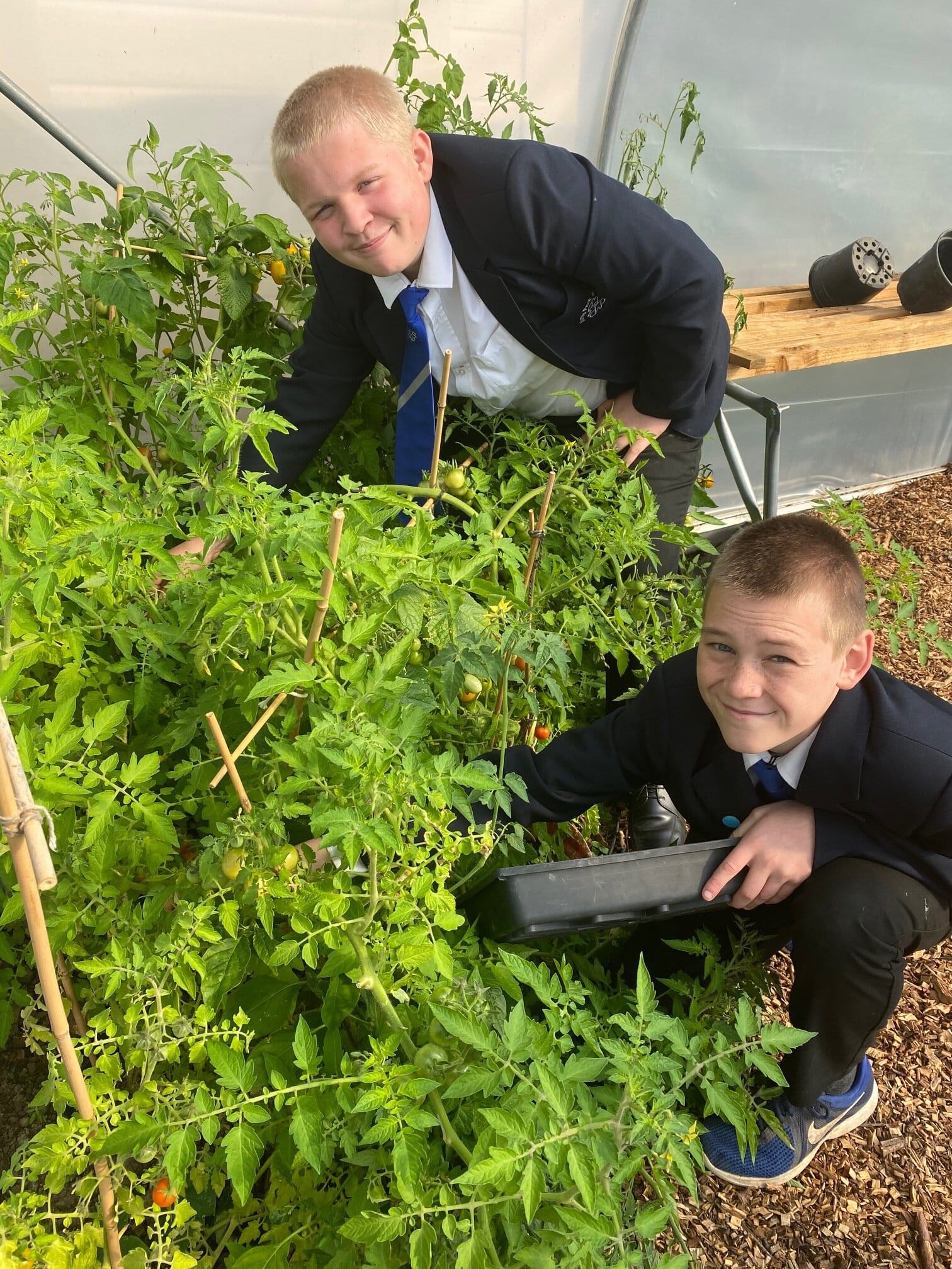 The gardening duo have grown more than 20 kinds of produce.