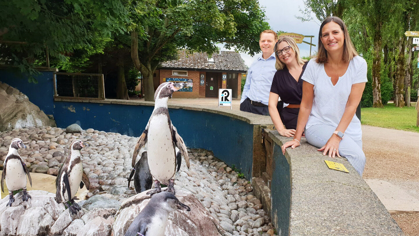 From left, Penguin PR director Simon Burch, social media manager Kerry Ganly and Penguin PR director Sarah Newton visited the Humboldt penguins at Twycross Zoo in Leicestershire after agreeing to adopt 10 of the birds to mark the company’s 10th anni…