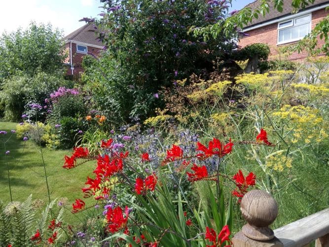 Jo Dyer is an organic gardener who prefers not to use chemicals in her garden. Penguin PR: public relations, media and communications