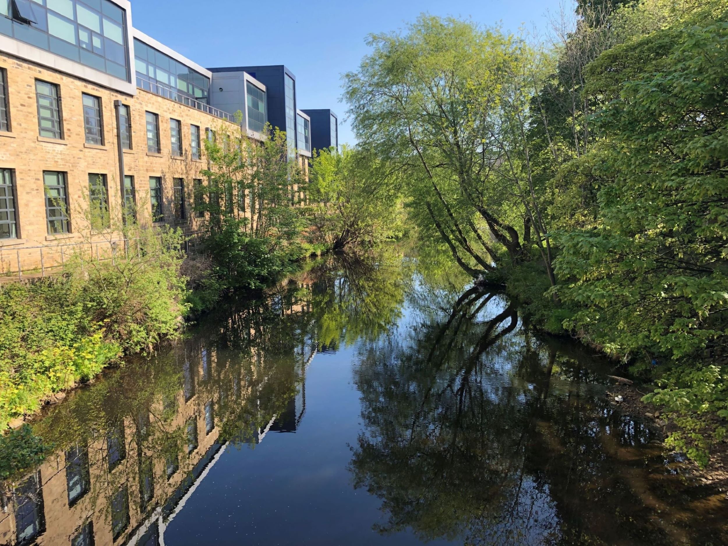 Employees step out of the lab and office to help enhance beautiful