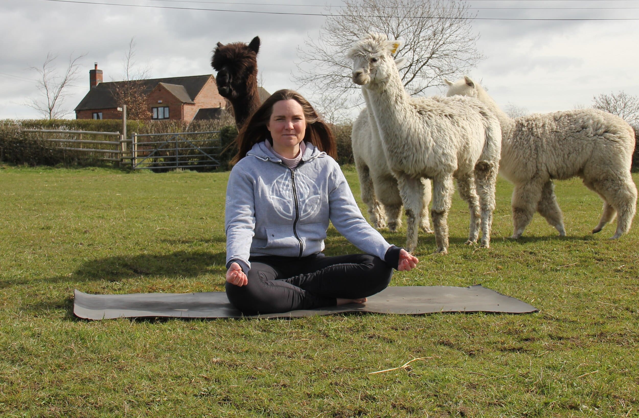 The yoga instructor, who usually teaches at Stay Well Health, in Chellaston, says alpaca yoga definitely adds an element of fun to the otherwise tranquil practice.