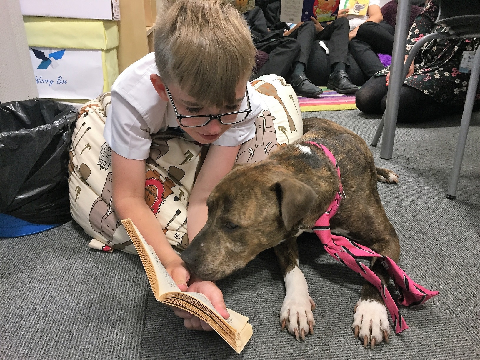 Shirebrook Academy’s school dog Bella helps 11-year-old student Bailey Fisher with his reading after she was appointed as the school’s official therapy pet. Penguin PR: public relations, media and communications