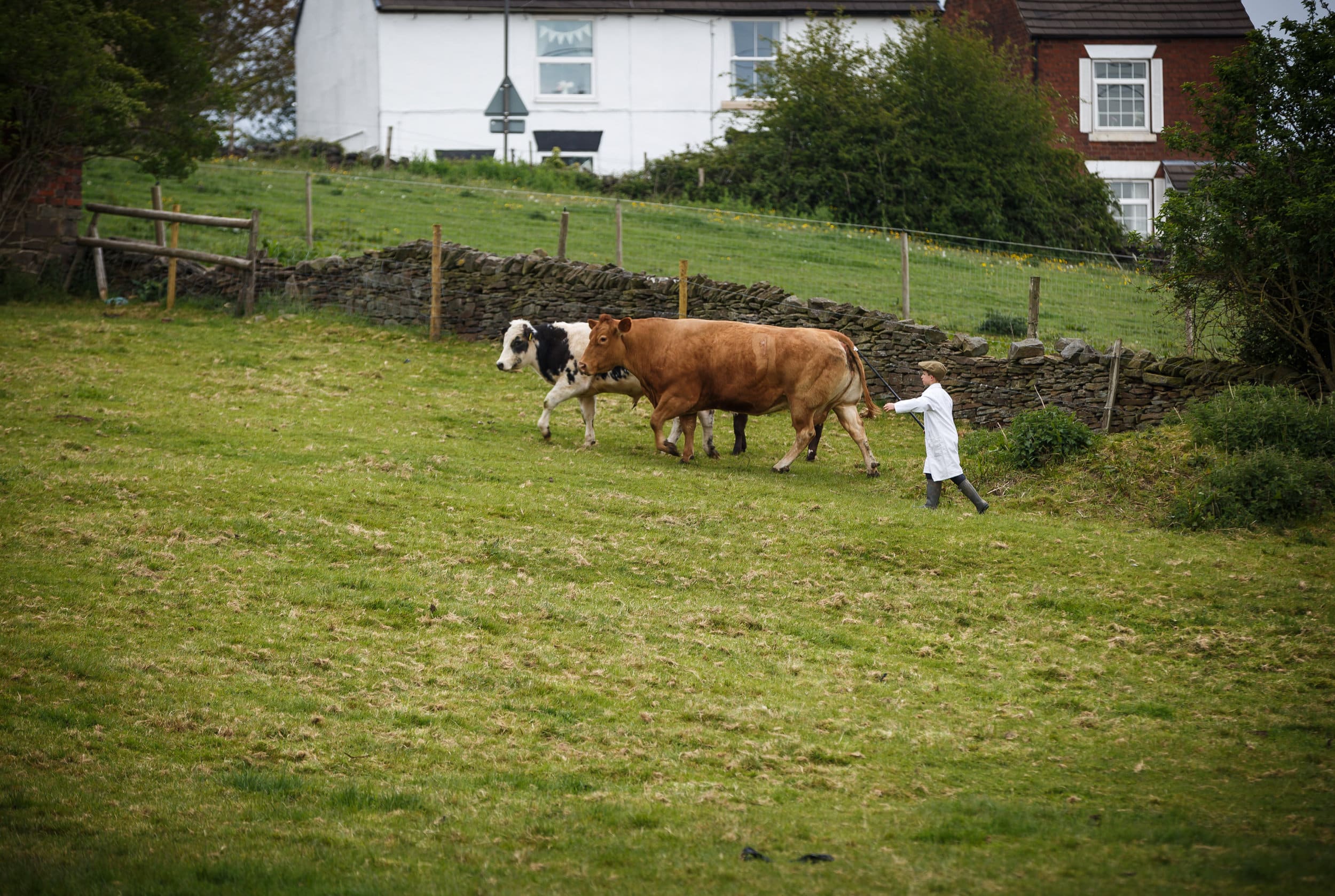The Derbyshire County Show will take place on Sunday, June 23 2019 at Elvaston Showground. Penguin PR: public relations, media and communications