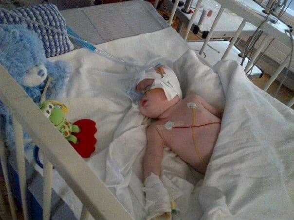 Theo is pictured here in 2012. Penguin PR: public relations, media and communications.