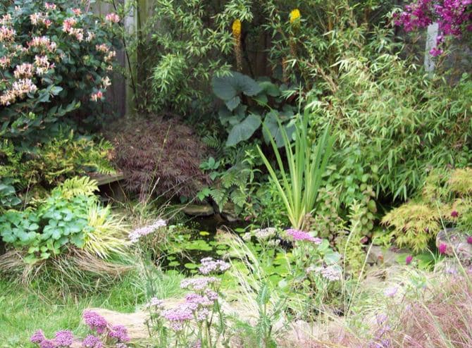 The pond area in Jo Dyer's garden. Penguin PR: public relations, media and communications