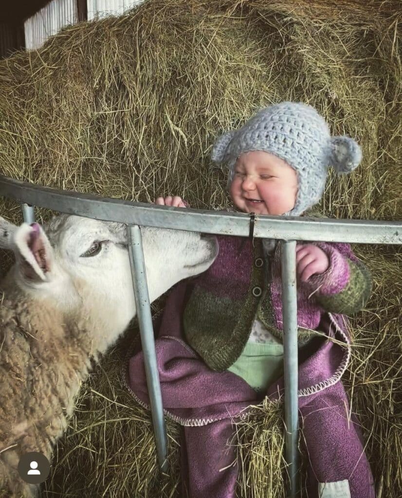 Young baby laughing with a sheep