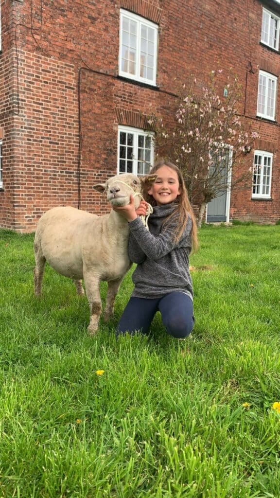 A young girl with her Southwood sheep