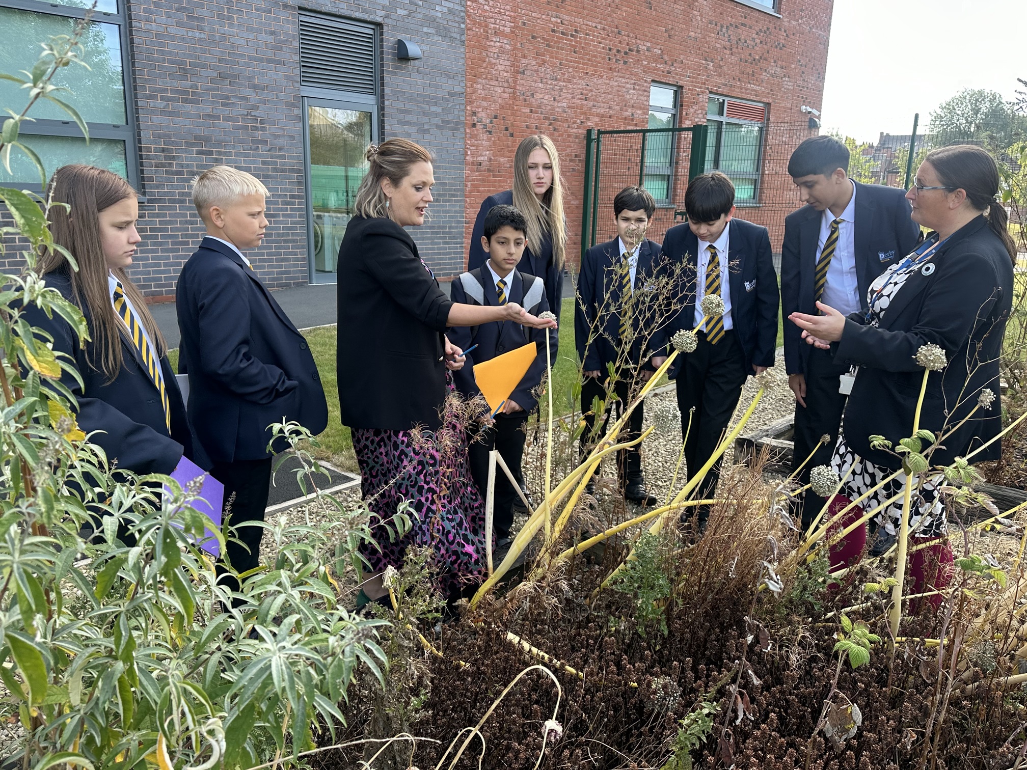 Derby Cathedral School receives biodiversity grant.
