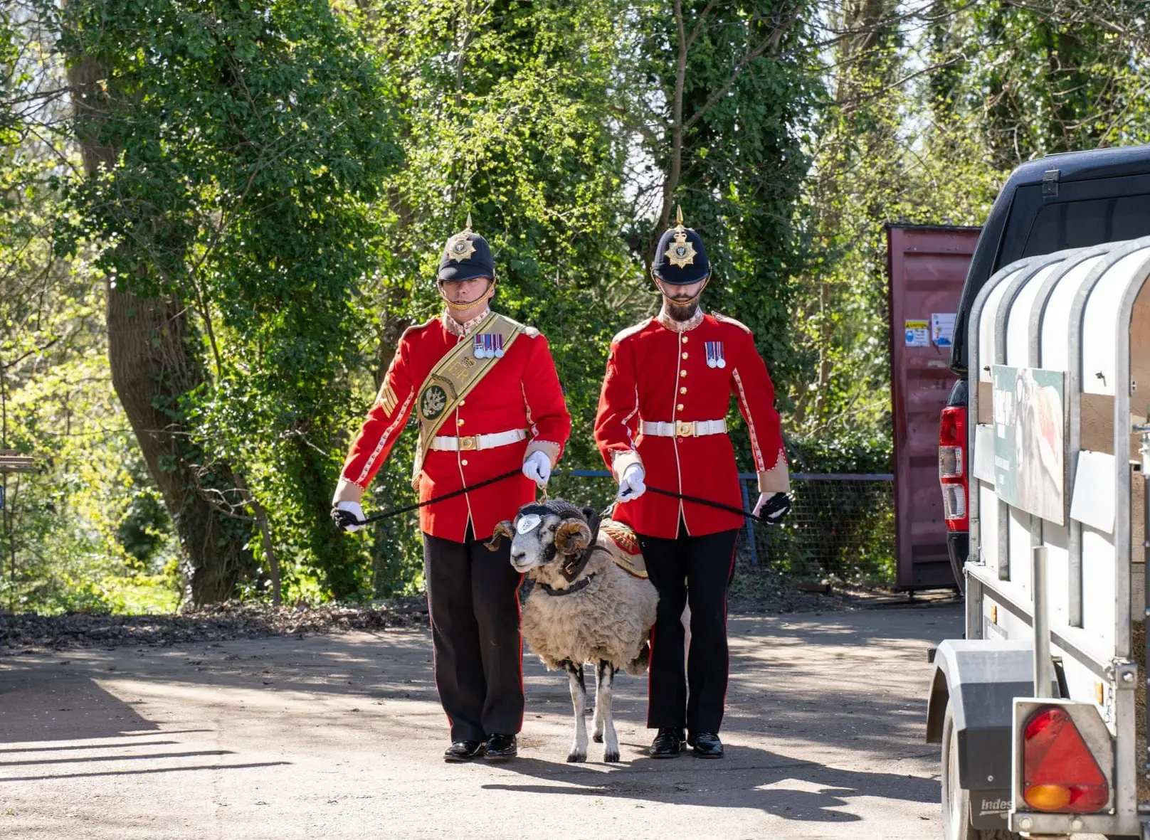 Private Derby ram mascot at Acres Engineering Armed Forces Covenant ceremony