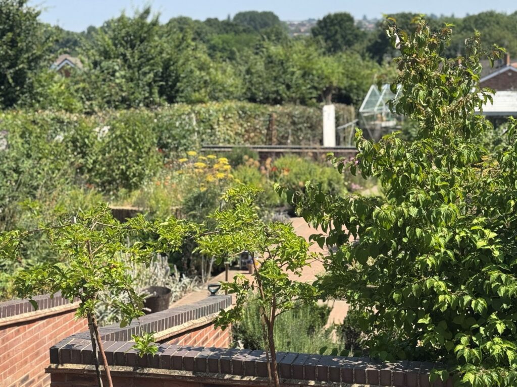 The garden at Growing Lives.